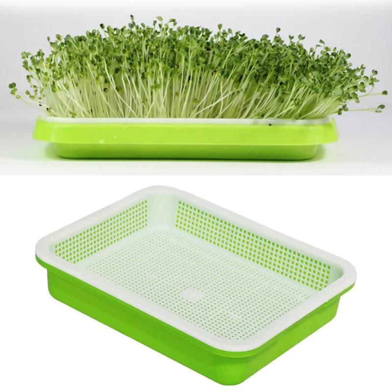 

Bean Sprouts Double-layer Dishes Plate Seedling Tray Plastic Hydroponic Flower Basket Flower Plant Home Garden Nursery Pots