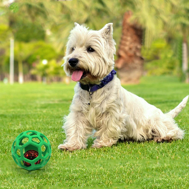 HTB1WTpSayHrK1Rjy0Flq6AsaFXan