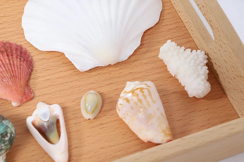 O1CN01WESBB21ByS6dee5LB_!!36560014