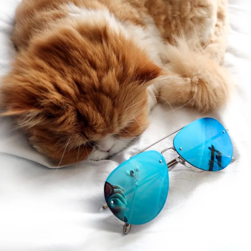 H05ba46dd4b4745b69a42f49efa62a052D