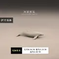 12. Yi River Dolphin