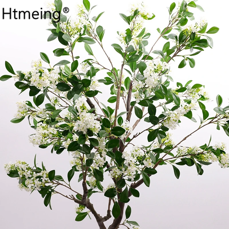 11658479744_215426144