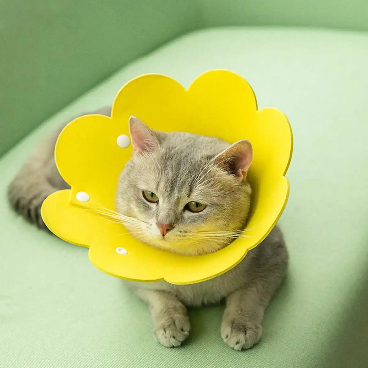 Cute Pet Protective Collars for Dogs Cats Wound Healing Protection Dog Cat Collars Anti-Bite Neck Cone Recovery Circle Cute Pet Protective Collars for Dogs Cats Wound Healing Protection Dog Cat Collars Anti-Bite Neck Cone Recovery Circle