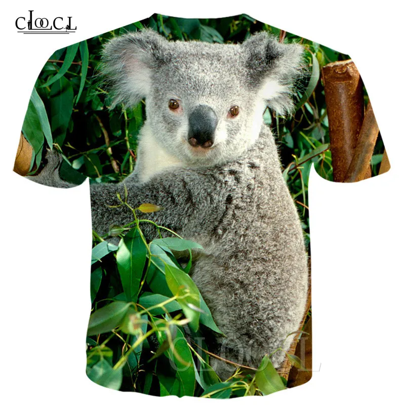T Shirts (6)
