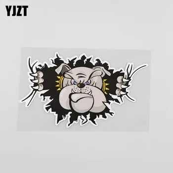 

YJZT 16.4CMX9.3CM Interesting Bulldog Fierce Decal Car Sticker 13B-0130