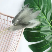 10 шт./лот засушенный натуральный цветы бонсай цветения декоративное растение бонсай цветения в бонсай или горшок цветок для украшения сада