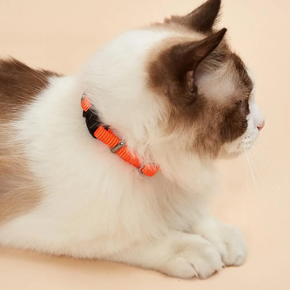 

Dog Collar with Buckle Adjustable Safety Nylon Collars，Escape Prevention for Walking