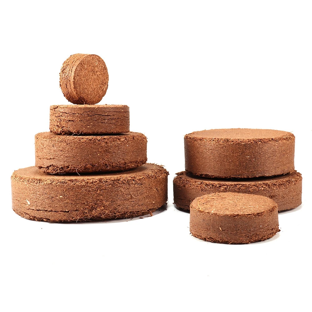 8a9ae1c17186853301718d1c74760ff8