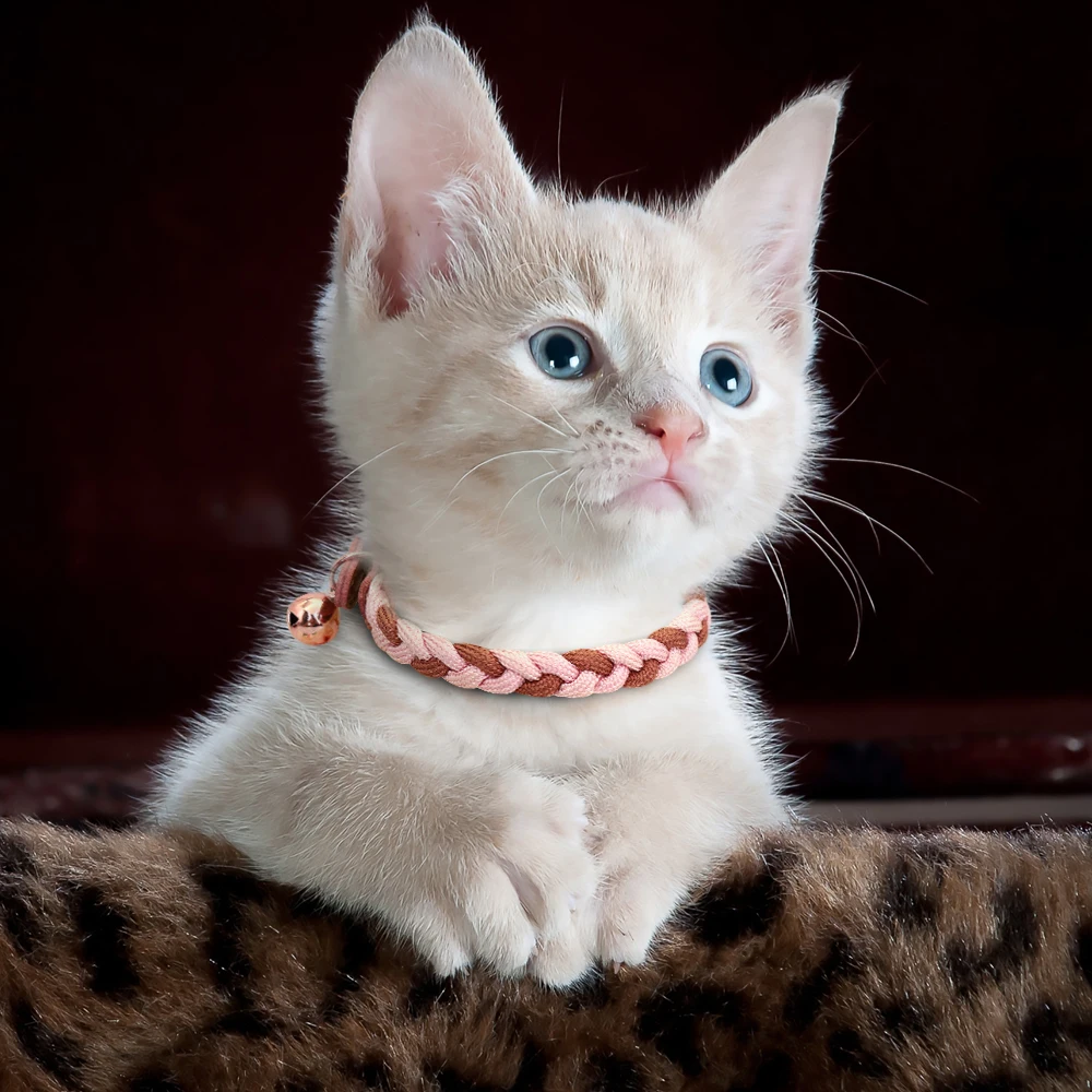 Nylon Braided Cat Collar Cat Kitten Puppy Collars With Bell Cat Supplies Pet Product for Small Dogs Chihuahua Yorkshir XS S
