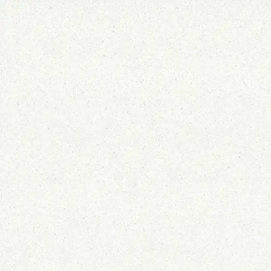 12313