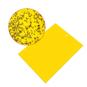 

Strong Flies Traps Bugs Sticky Board Catching Aphid Insects Pest Killer Outdoor Fly Trap