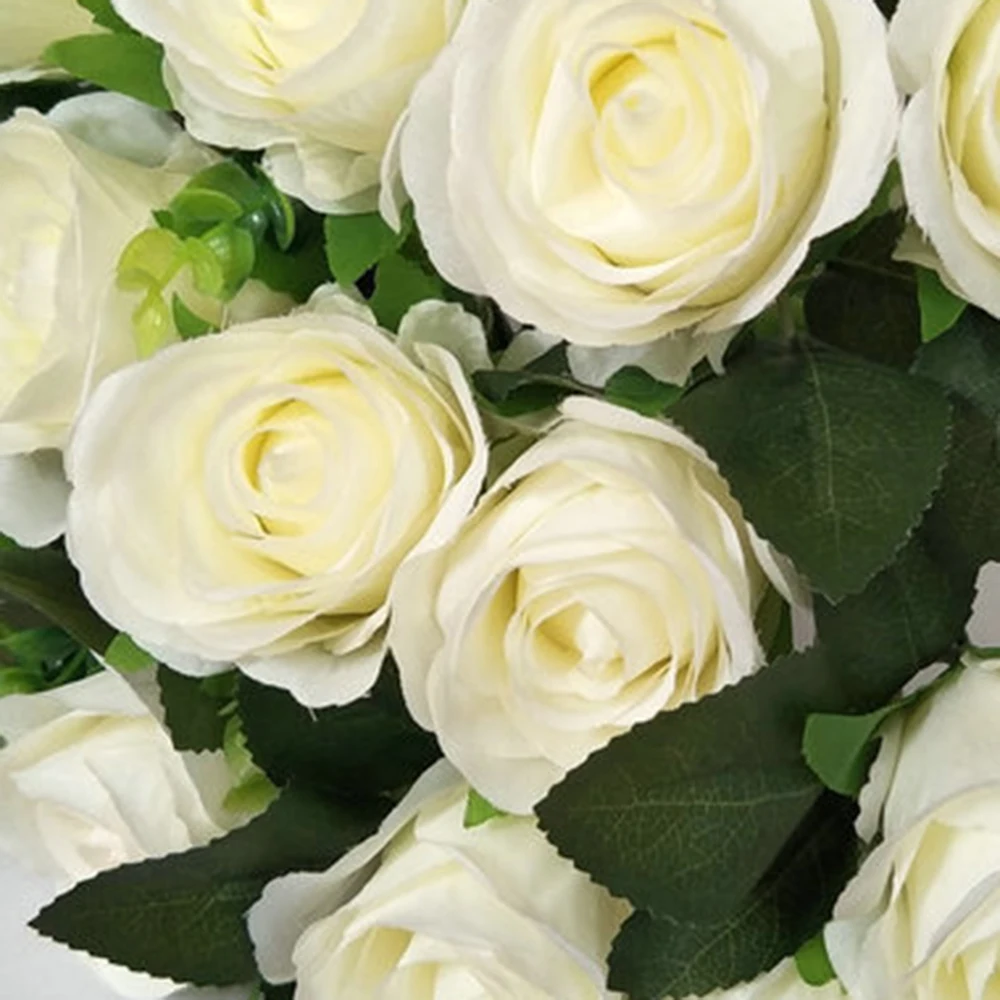 YYPA0048-1-YYPA0048-8-D2