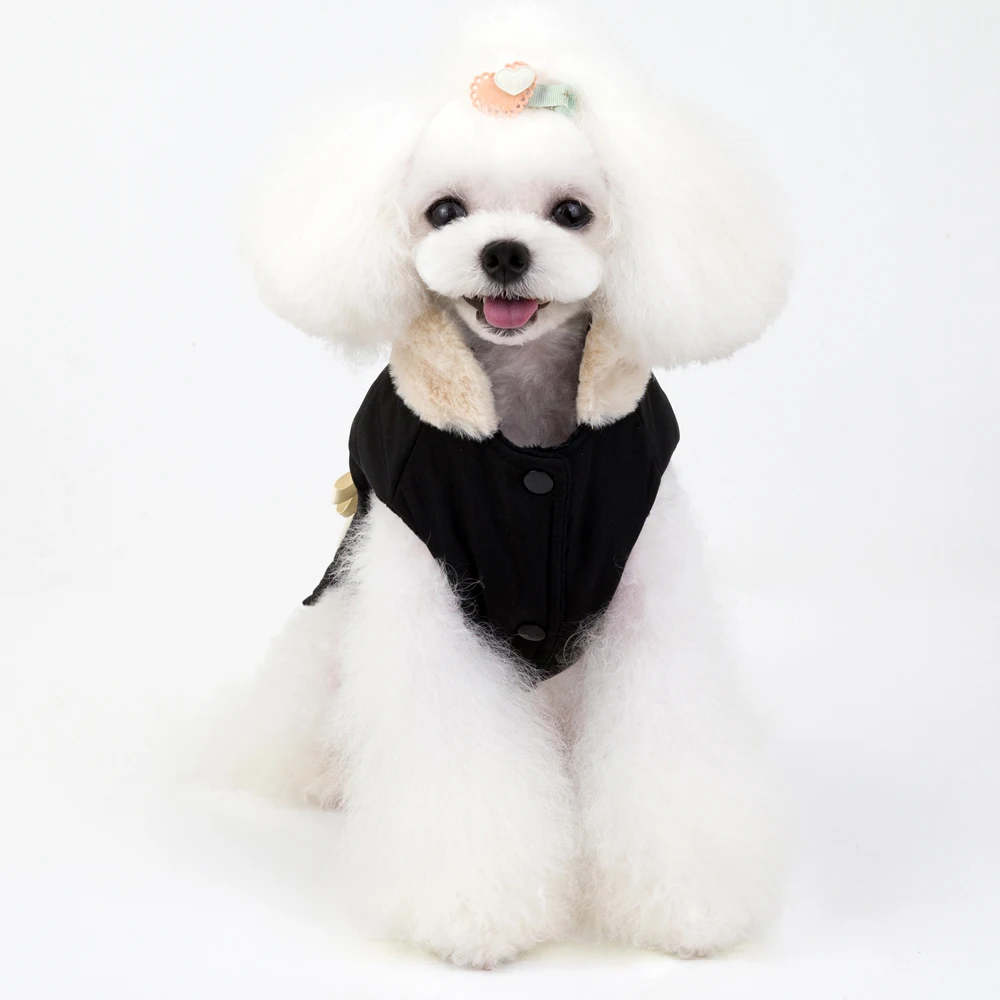 2019 новая одежда принцессы для собак Зимний жилет теплые маленькие куртки