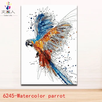 

diy Coloring painting by numbers Watercolor animals parrot picture Painting flying birds paints by numbers with paint colors