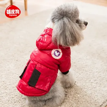 

clothes teddy leung than bear small dogs cats puppy dog clothes qiu dong outfit thickening eiderdown outerwear