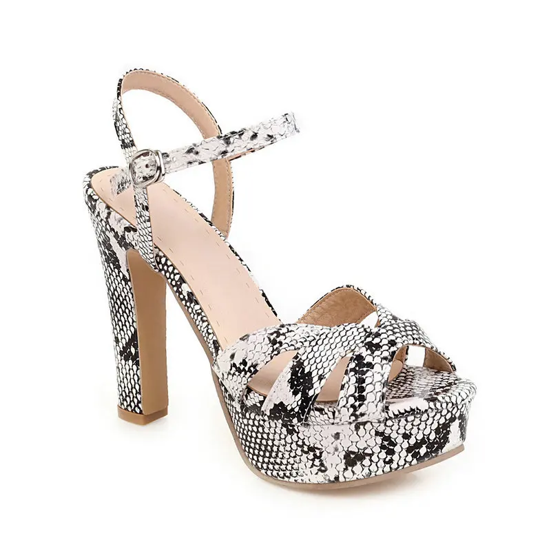 13373518532_2134589267