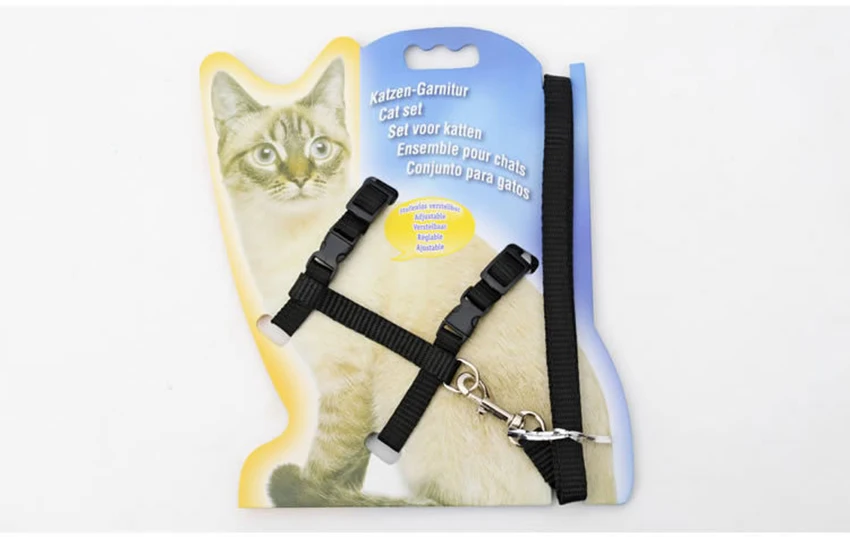 3818342932_1624998023