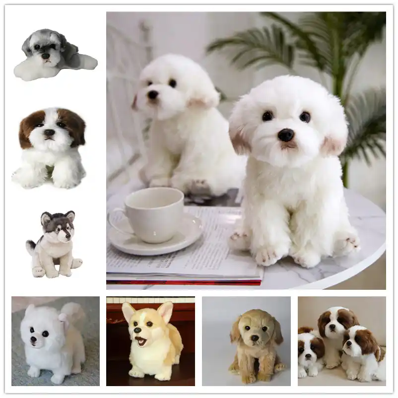 Peluche Chien Mignon Bichon Loup Schnauzer Pomeranien Corgi Jouet En Peluche Simulation Chiot Teddy Poupee Bebe Cadeau Pour Enfants Aliexpress