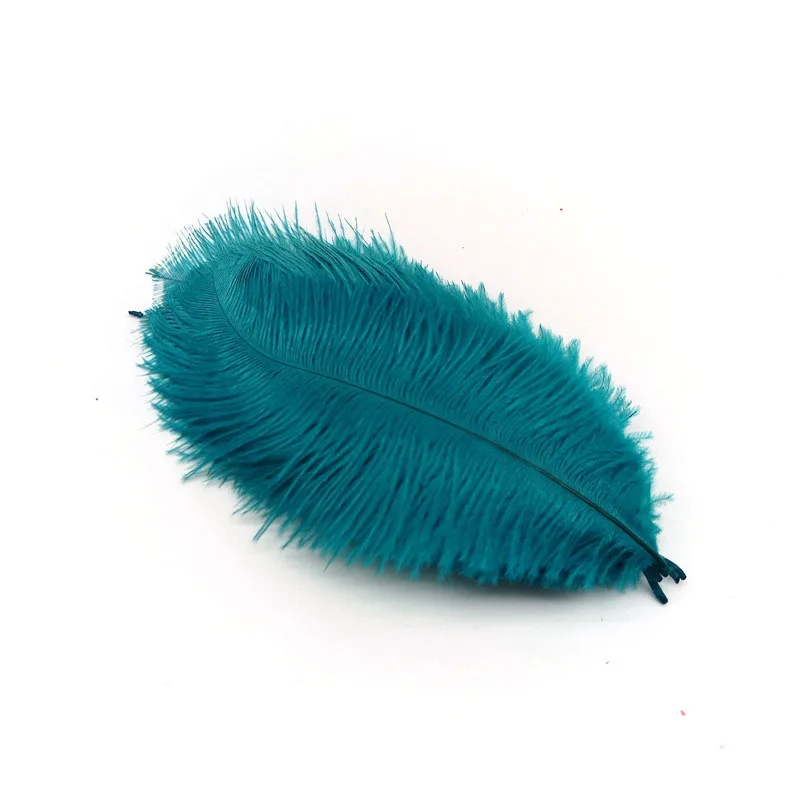 Hole Blue feathers