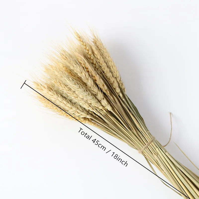 50100Pcs Artificial Wheat Ears Natural Dried Flowers Grain Bouquet For Wedding Party Decoration Three Color JH89 (8)