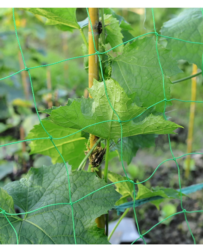 O1CN01kWxt3f1JMuXol0awJ_!!1602131015