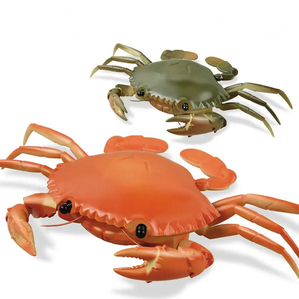 

Simulation Model Remote Control Crabs Crawl Toy Electric Educational Toys for Children