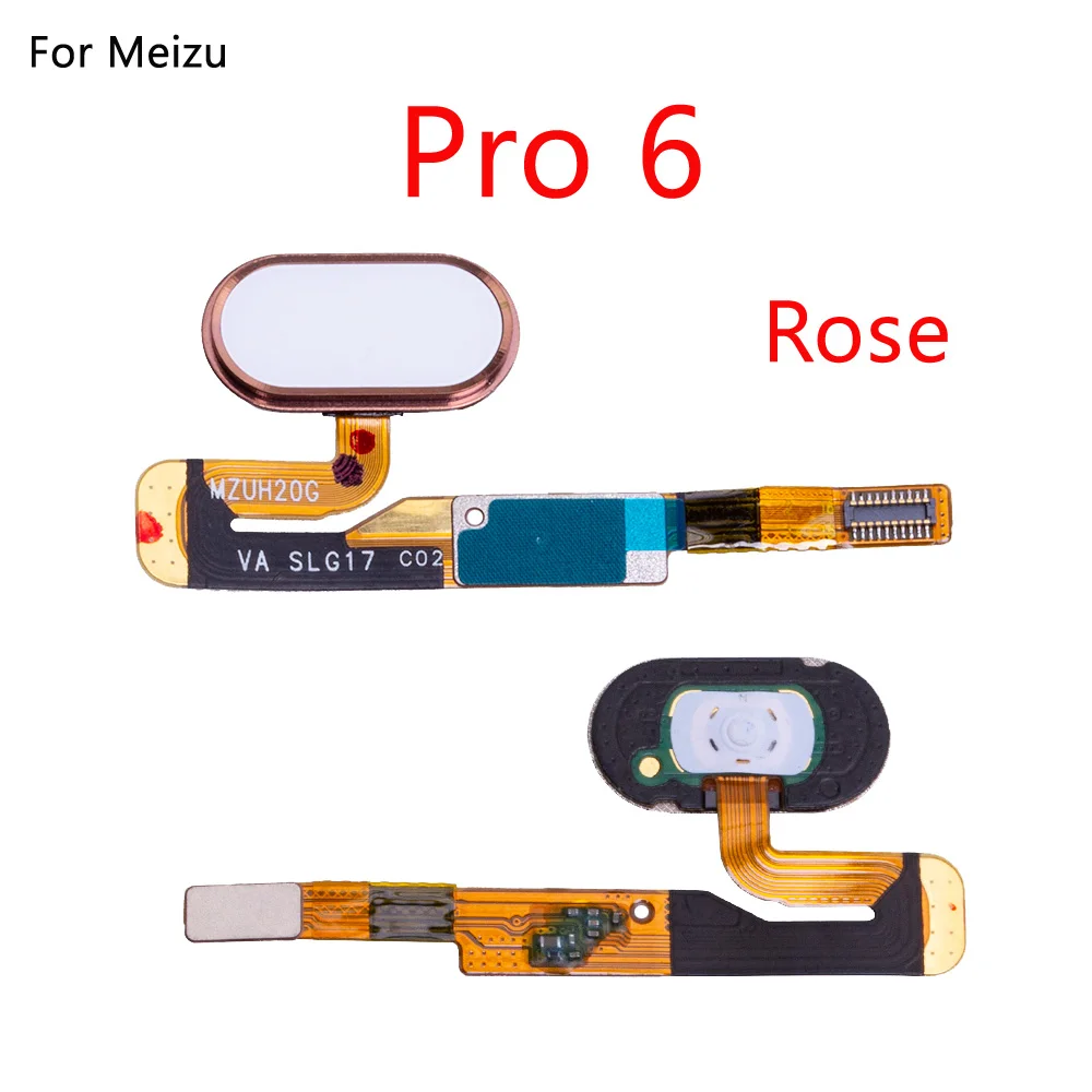 Pro-6-Rose-3pcs