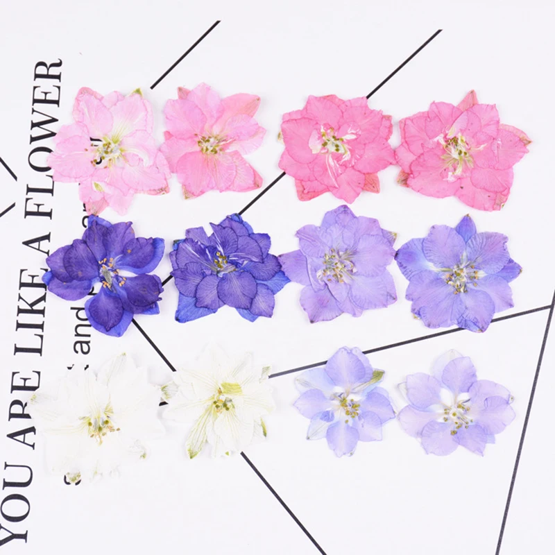 10301889703_448688674