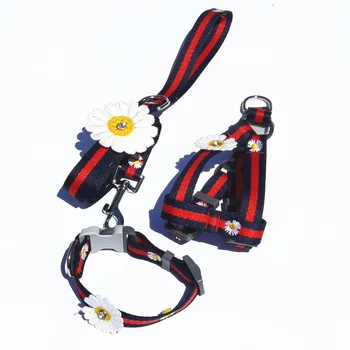 

Net Red Daisy Pet Hand Holding Rope Teddy Bear Bullfighting Cat Universal Dog Walking Artifact Factory Wholesale