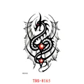 Image 33