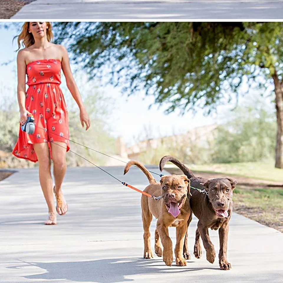 double dog lead retractable