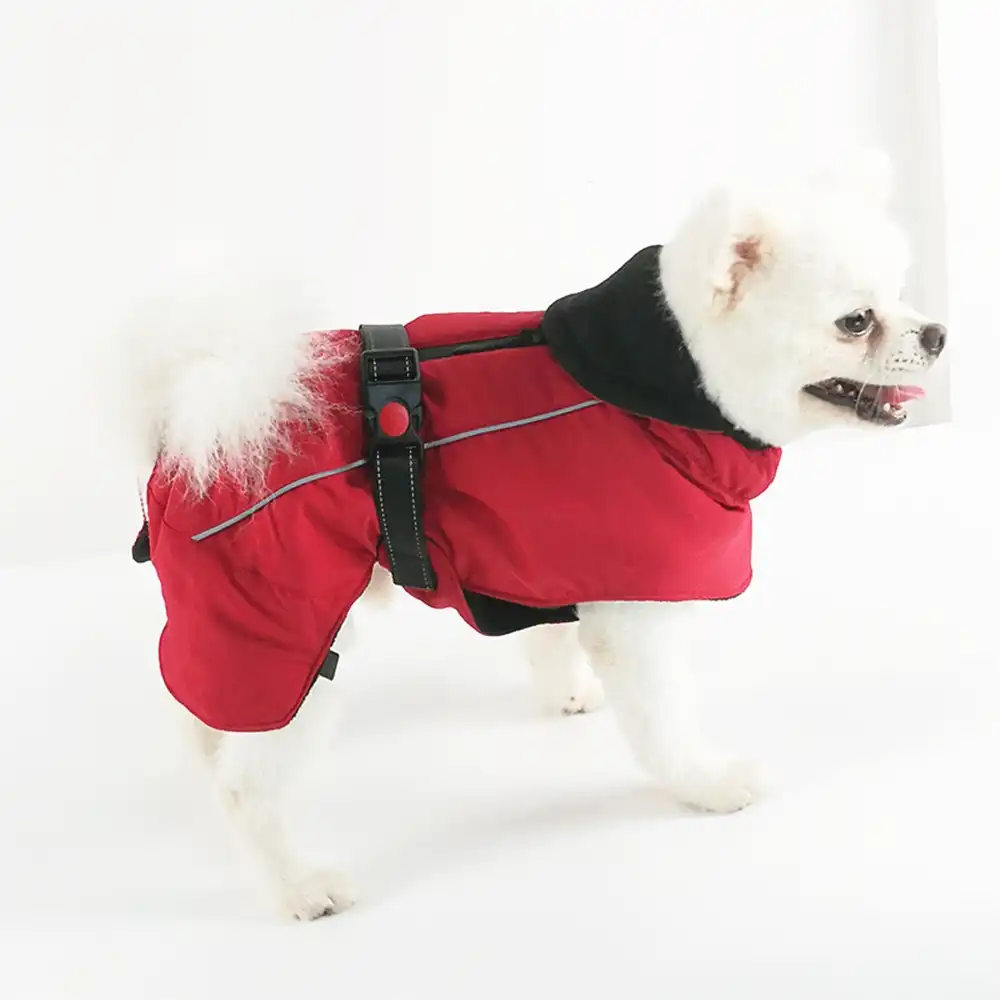 dog ski suit