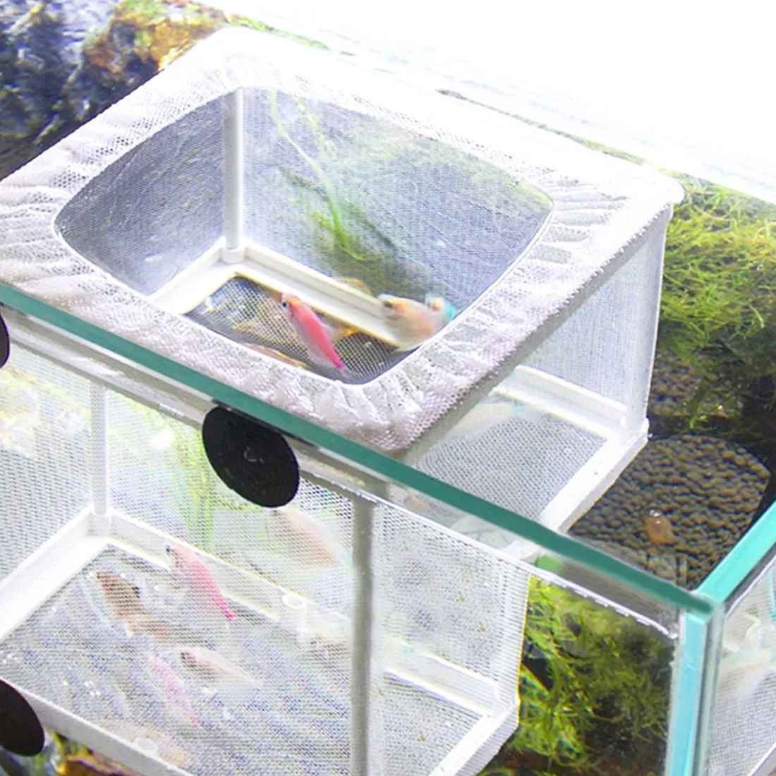 Udgraded Super Dense Fish Breeding Isolation Mesh Box Net Incubator Breeder For Fish Tank Gauze Trap S/L Aquarium Accessories