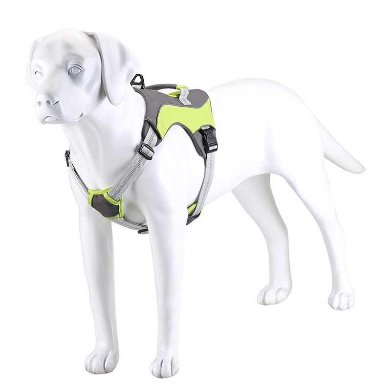 Harness Dog (11)