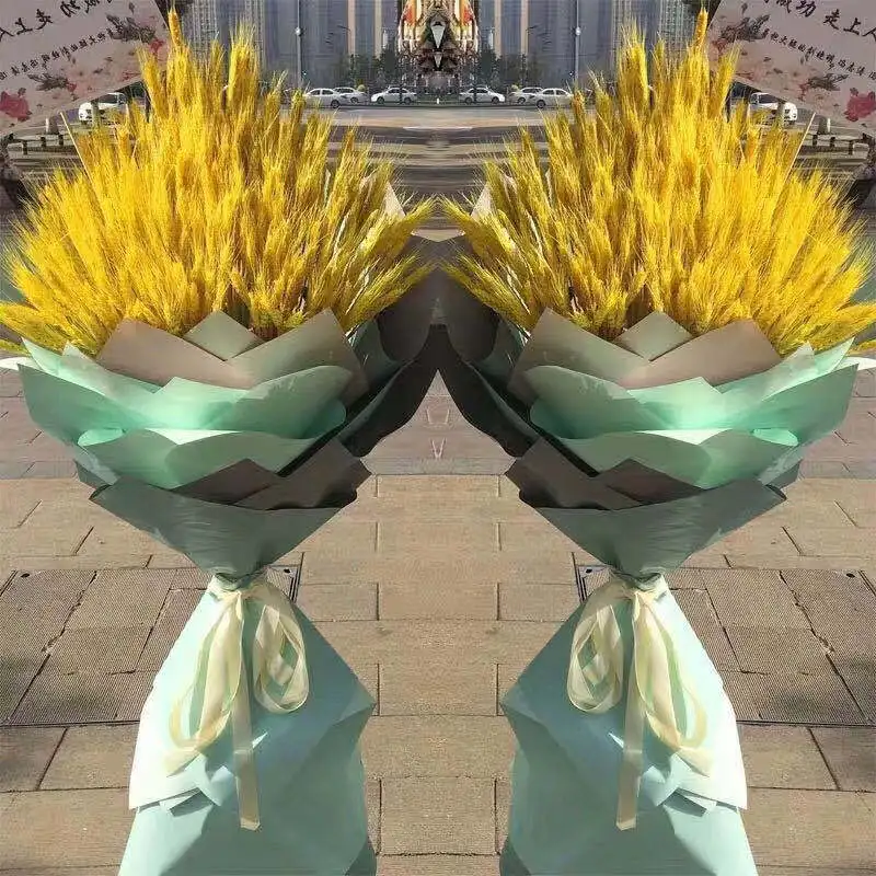 16115543439_179027579