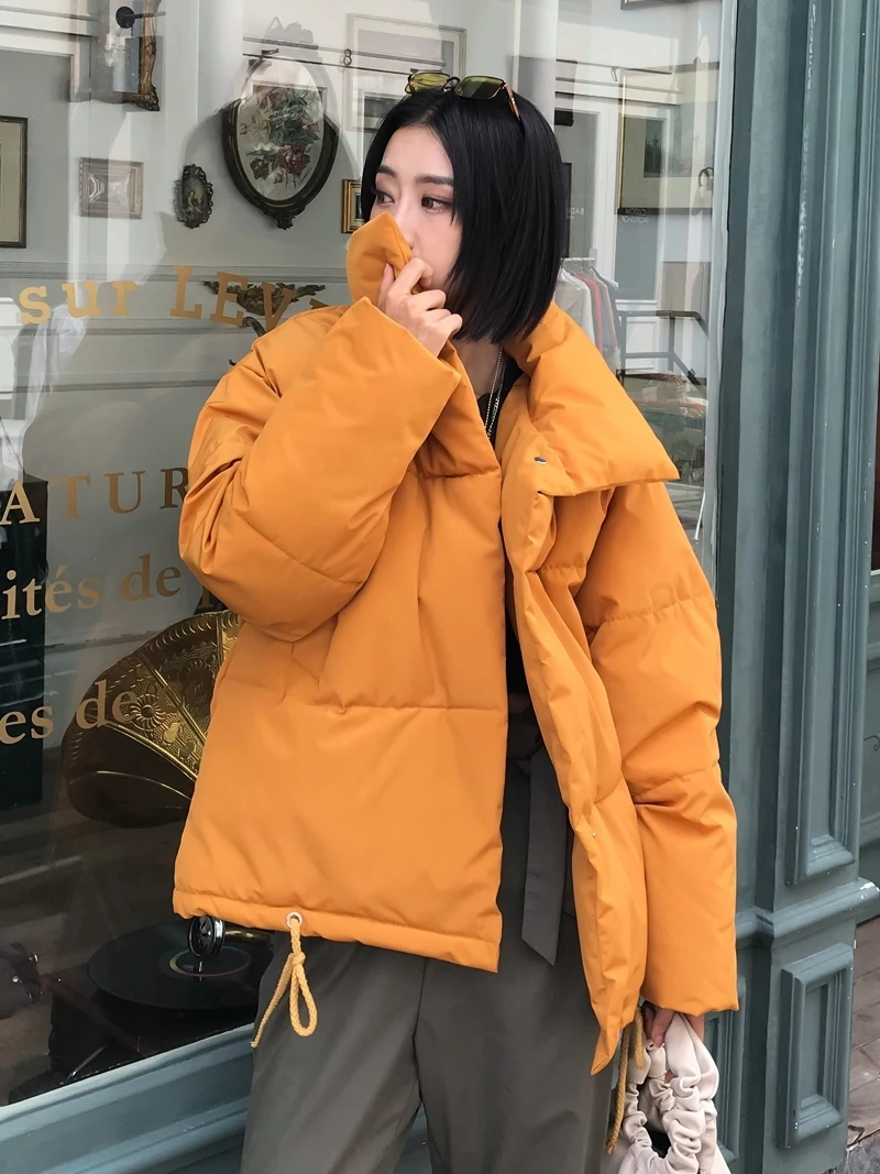 Новая мода 2019 Высококачественная зимняя куртка для женщин плюс размер свободное