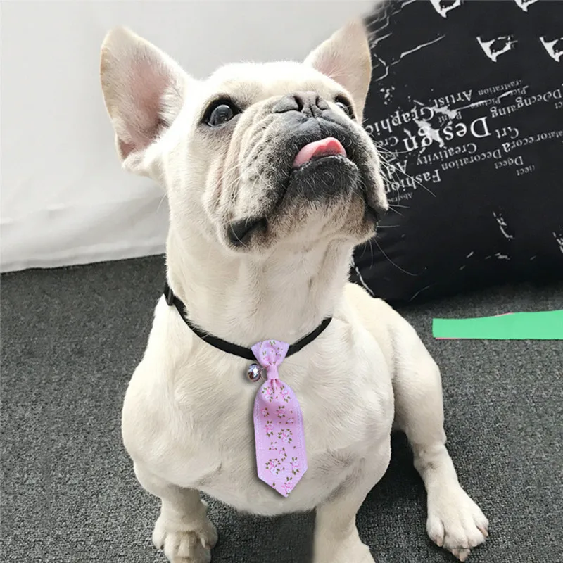 LJF90504237_0936325075742264758