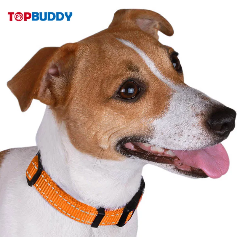 

Collardirect Adjustable Reflective Dog Neck Ring Safe Nylon Collar Dog Traction Rope Buckle Colorful for You Choose