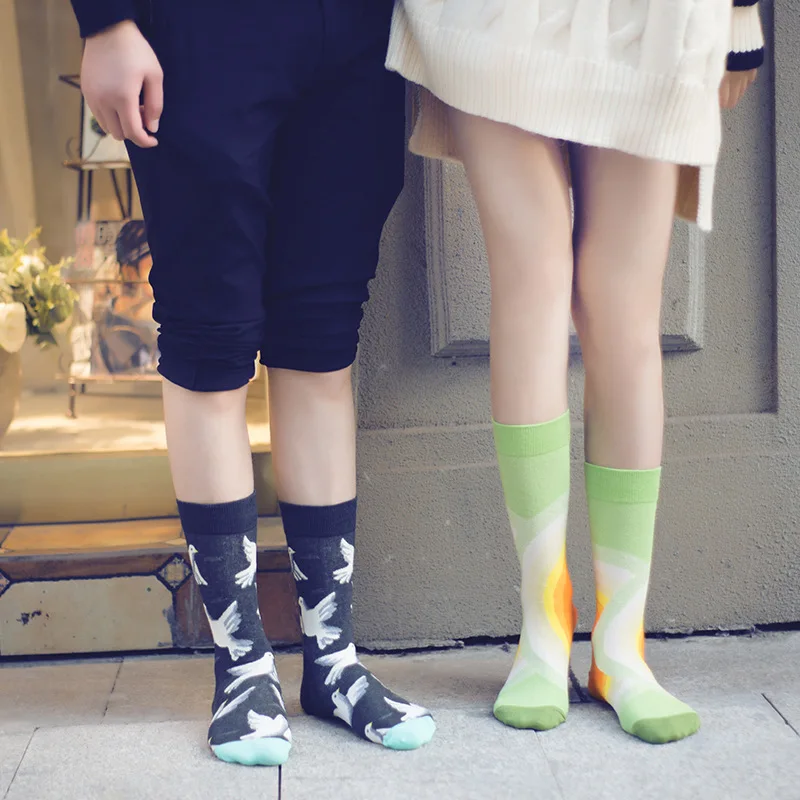 11305659524_794777933