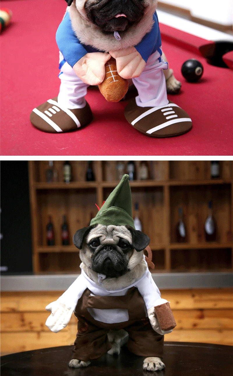 9207215911_291311941