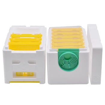 

Newest Beekeeping Queen Breeding Rearing Box Beekeeping Supplies Bee Harvest Beehive Foam Double-layer