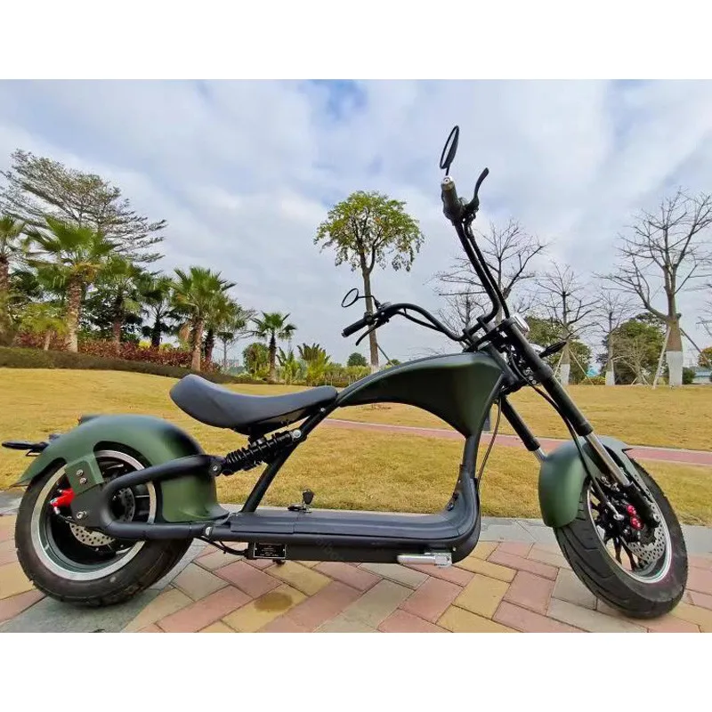 M1PElectricMotorCycleForAdults2WheelsElectricBicycles2000W