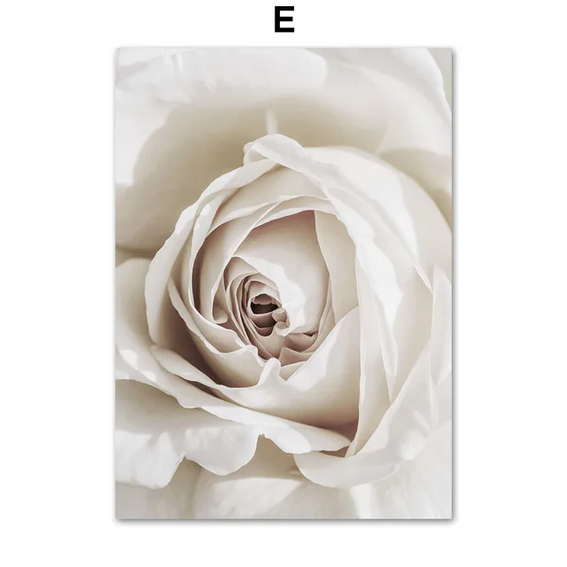 White Dandelion Peony Rose Flowers Canvas Painting Nordic Posters And Prints Wall Art Pictures For Living Room Home Decor E