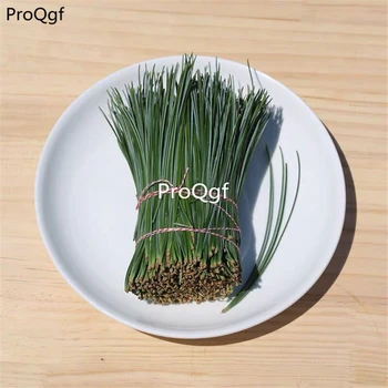 

Ngryise 200Gram A Set fresh pine needle