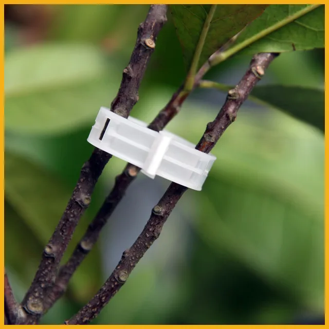 50/100 Dcs Műanyag Növényi Tartó Klipek A Paradicsom Függő Rácsos Szőlőhöz Kötött Növények Üvegházhatású Zöldségek Kerti Dísz