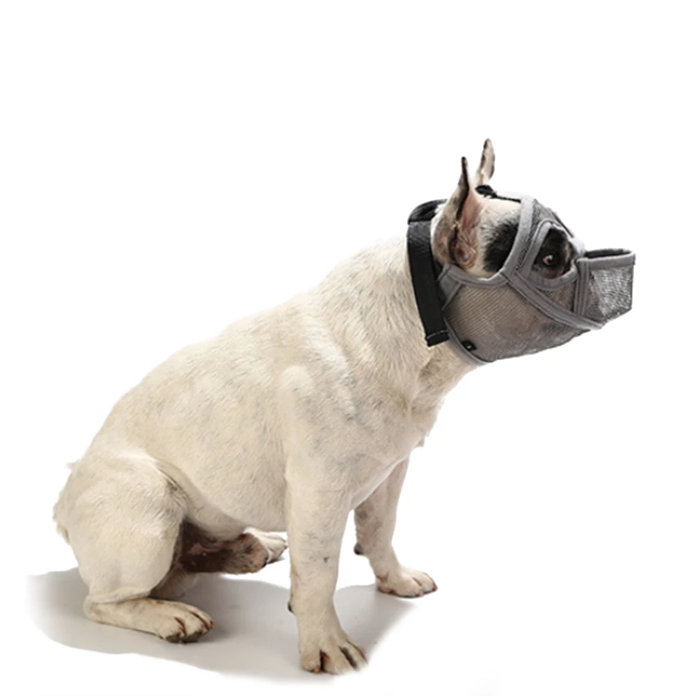 

Short Snout Pet Dog Muzzles Comfortable Adjustable Mesh French Bulldog Pug Mouth Muzzle Mask Puppy Dog Muzzle Pet Product