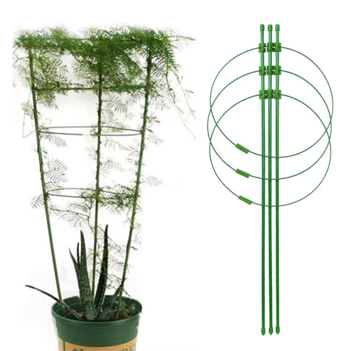 Trellises Plants Vine Climbing Rack Trellises Vines Support Rack