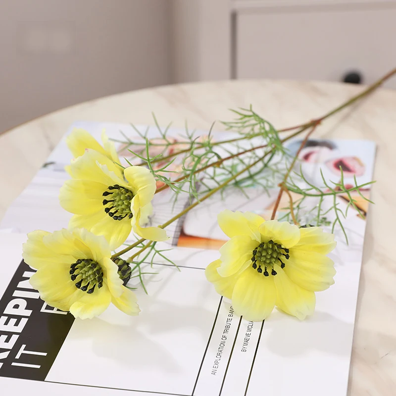 8ccdd818-cd2c-4112-a205-8eb263f386af