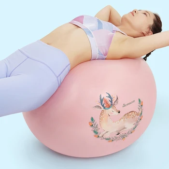 

65cm Yoga Sport Balls Pilates Gym Balance Fitball Explosion Proof Exercise Workout Massage Fitness Balls With Inflator Air Plug