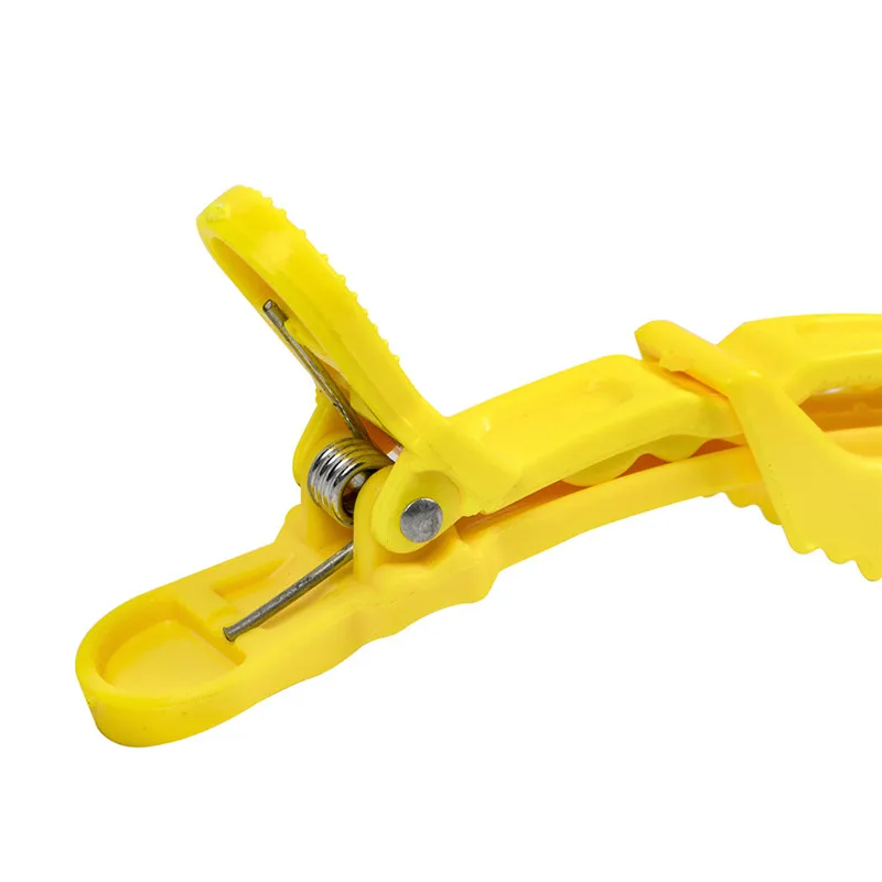 307019_no-logo_307019-3-05-p